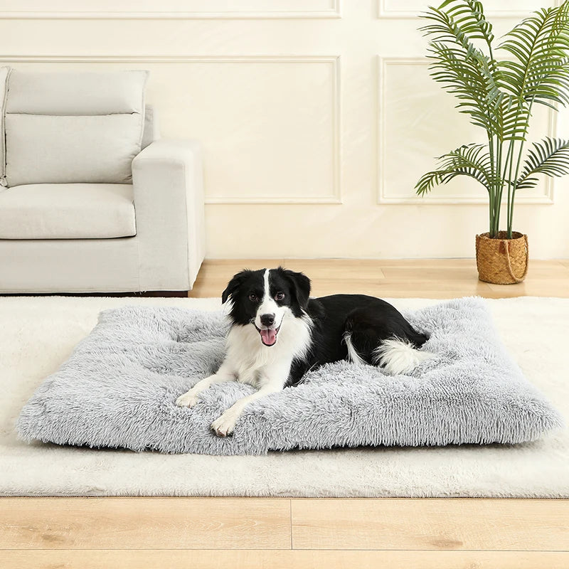 Ultra Soft Plush Dog & Cat Bed — Luxury Calming Pet Mat 🐾