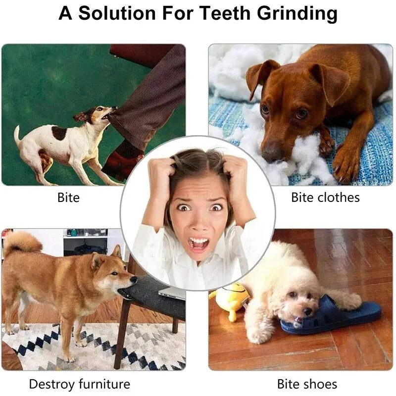 Nontoxic Treat Dispensing Dog Chew Ball — Tooth Cleaning Toy 🐶