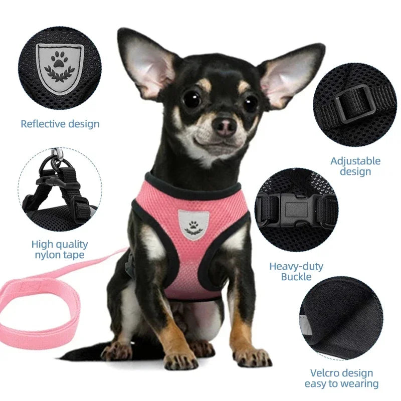 Adjustable Cat & Dog Harness Vest with Leash — Perfect for Small Pets 🐾