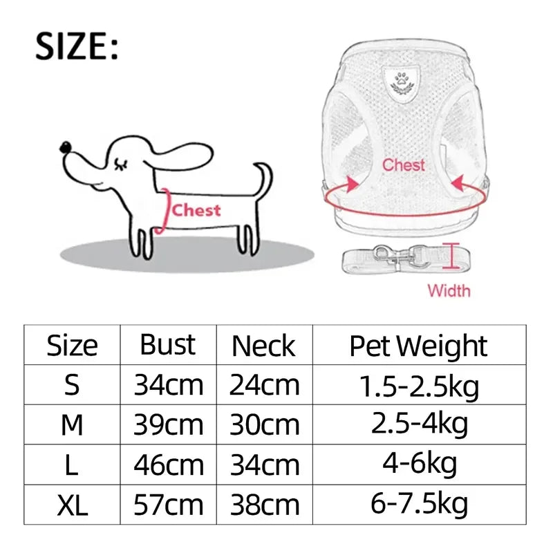 Adjustable Cat & Dog Harness Vest with Leash — Perfect for Small Pets 🐾