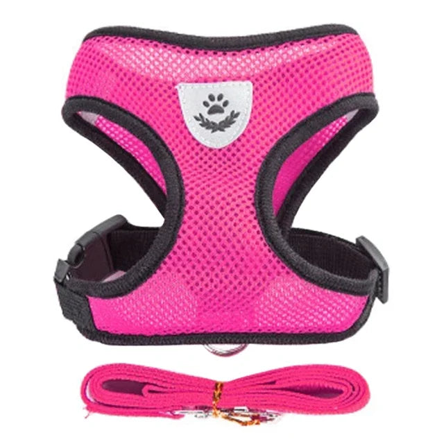 Adjustable Cat & Dog Harness Vest with Leash — Perfect for Small Pets 🐾