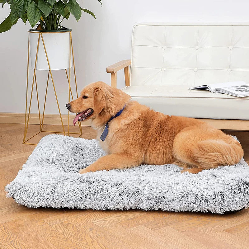 Luxury Plush Pet Bed — Warm Fleece Mat for Dogs & Cats 🐾