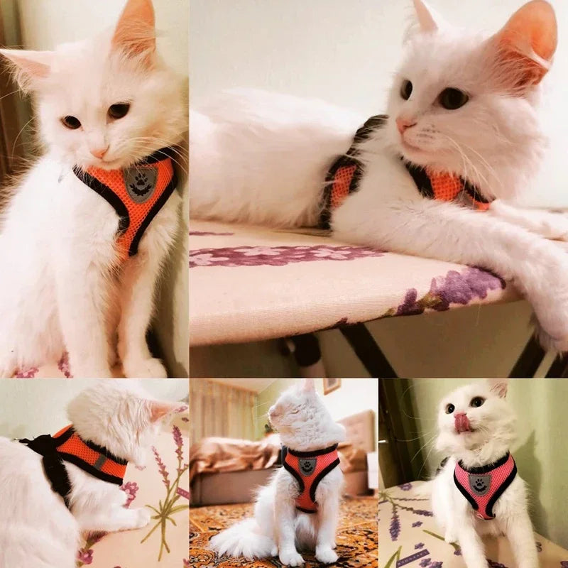 Adjustable Cat & Dog Harness Vest with Leash — Perfect for Small Pets 🐾