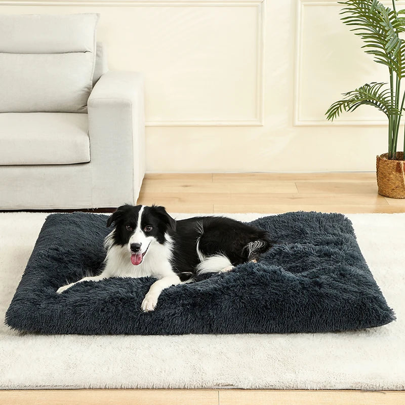 Ultra Soft Plush Dog & Cat Bed — Luxury Calming Pet Mat 🐾