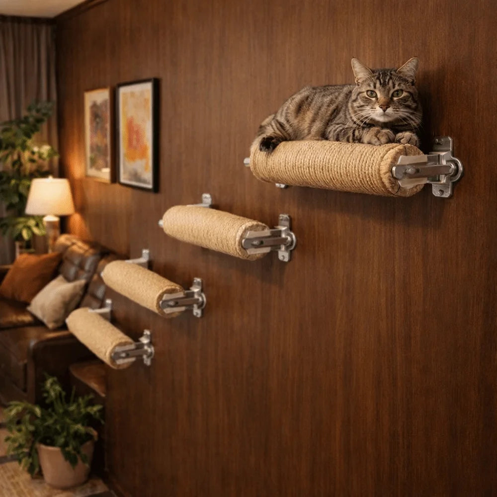 Title: Wall Mounted Cat Climbing Frame & Scratch Posts 🐱