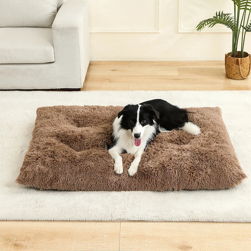 Ultra Soft Plush Dog & Cat Bed — Luxury Calming Pet Mat 🐾