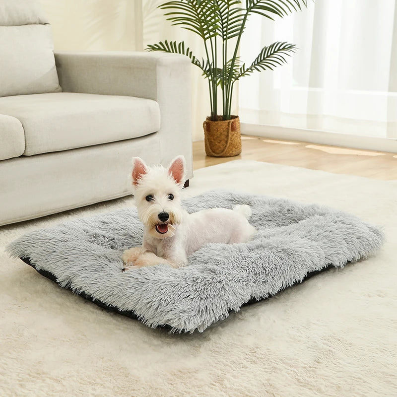 Ultra Soft Plush Dog & Cat Bed — Luxury Calming Pet Mat 🐾
