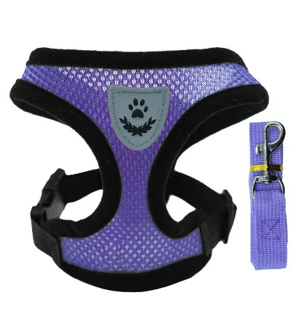 Adjustable Cat & Dog Harness Vest with Leash — Perfect for Small Pets 🐾