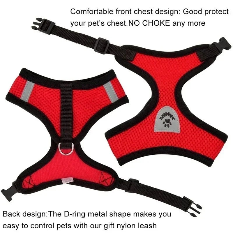 Adjustable Cat & Dog Harness Vest with Leash — Perfect for Small Pets 🐾