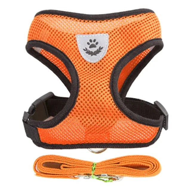 Adjustable Cat & Dog Harness Vest with Leash — Perfect for Small Pets 🐾