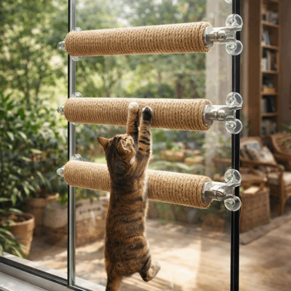 Title: Wall Mounted Cat Climbing Frame & Scratch Posts 🐱