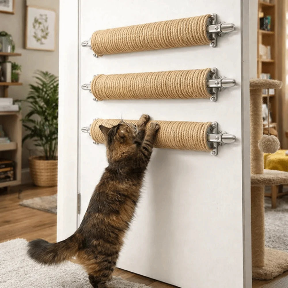 Title: Wall Mounted Cat Climbing Frame & Scratch Posts 🐱