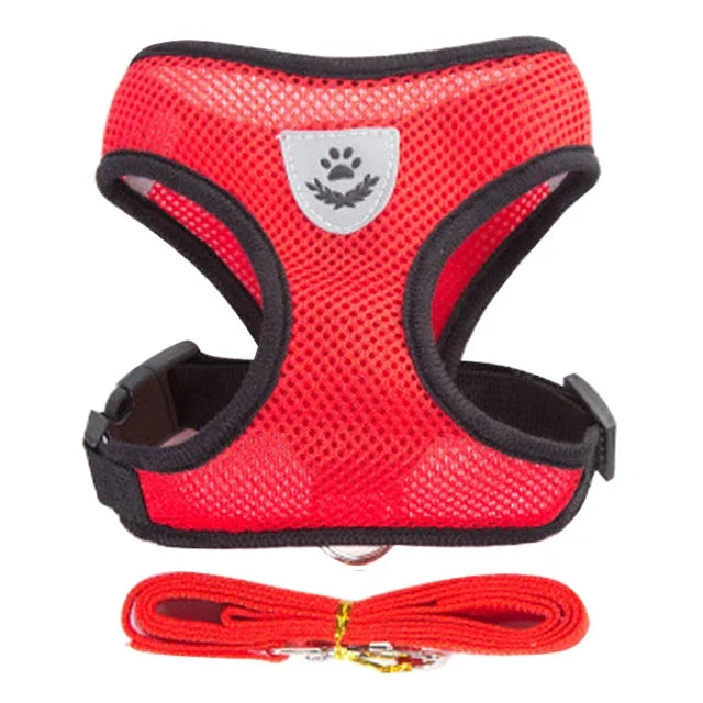 Adjustable Cat & Dog Harness Vest with Leash — Perfect for Small Pets 🐾