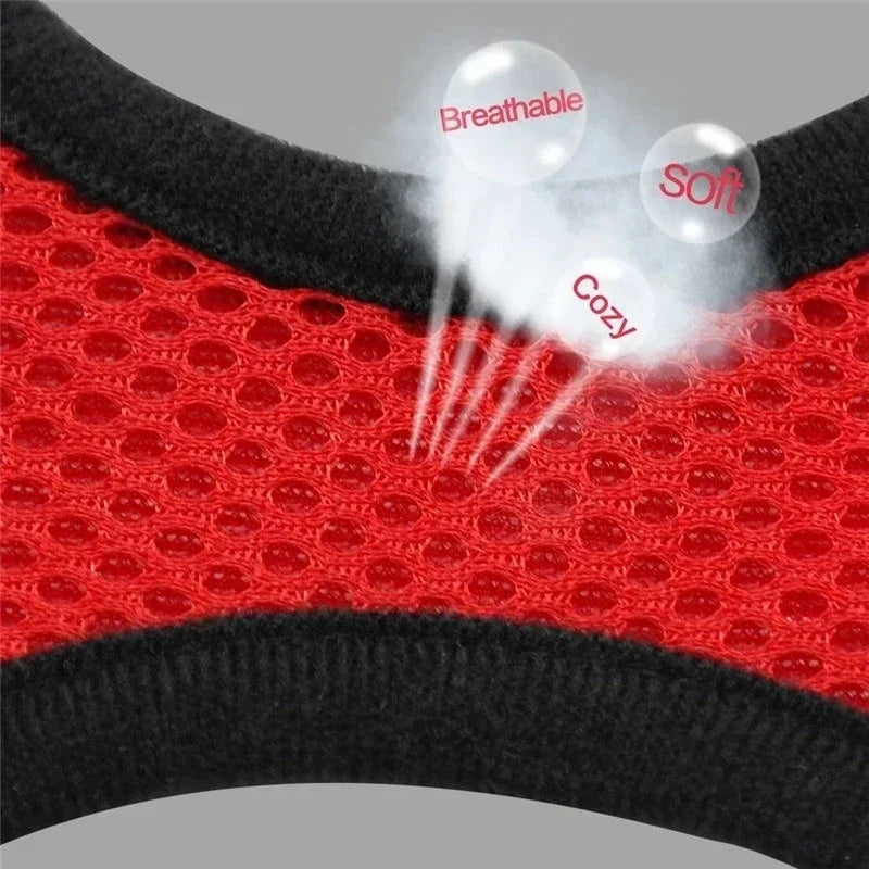 Adjustable Cat & Dog Harness Vest with Leash — Perfect for Small Pets 🐾