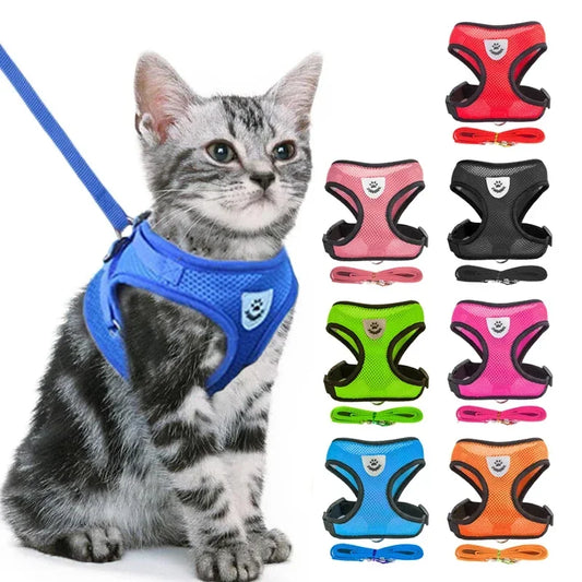 Adjustable Cat & Dog Harness Vest with Leash — Perfect for Small Pets 🐾