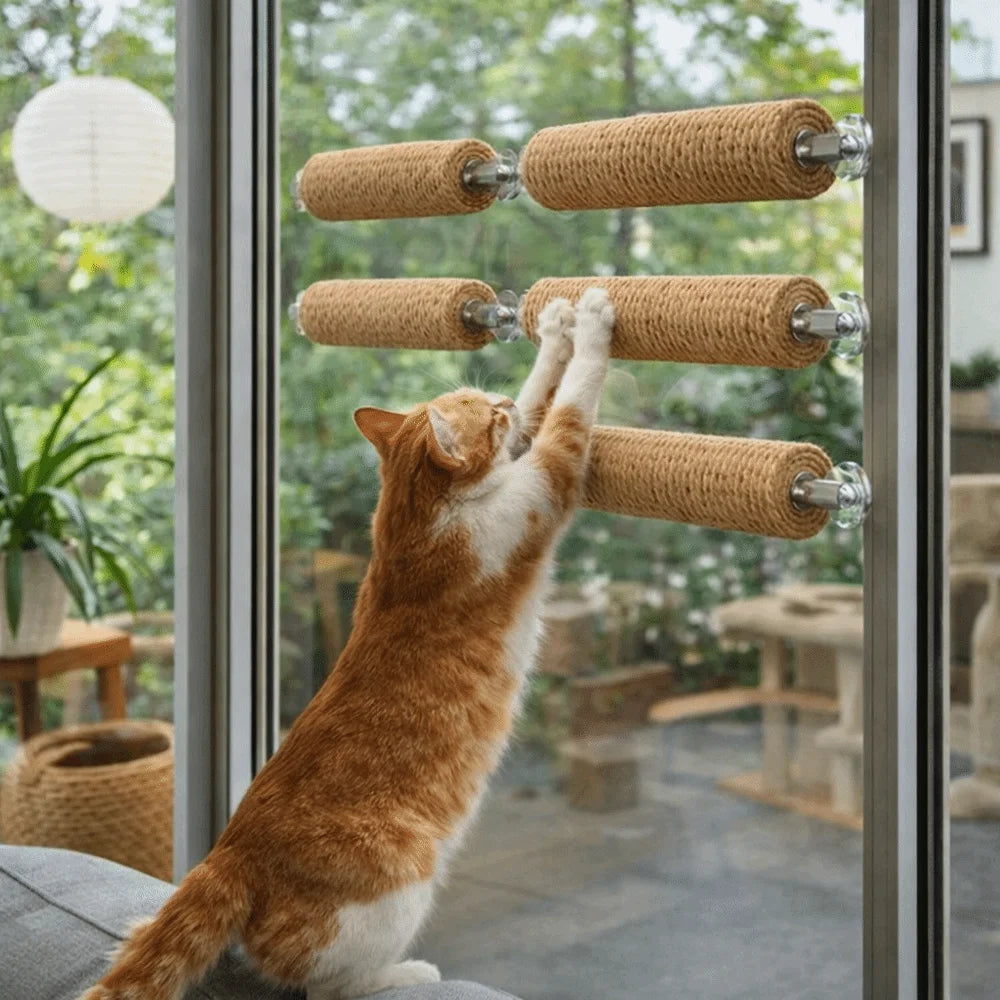 Title: Wall Mounted Cat Climbing Frame & Scratch Posts 🐱