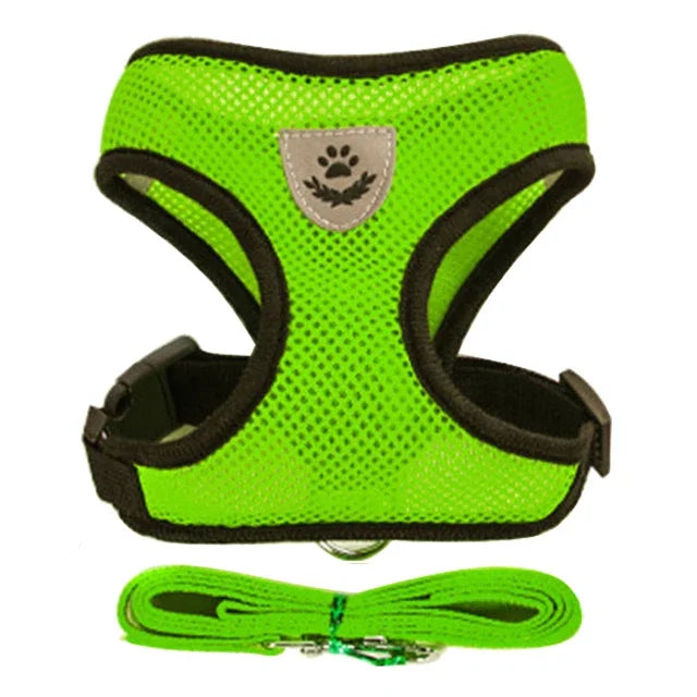 Adjustable Cat & Dog Harness Vest with Leash — Perfect for Small Pets 🐾