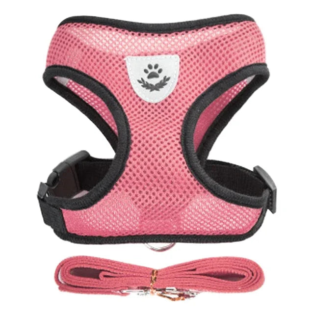 Adjustable Cat & Dog Harness Vest with Leash — Perfect for Small Pets 🐾